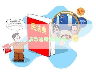 贷款逾期余额分布