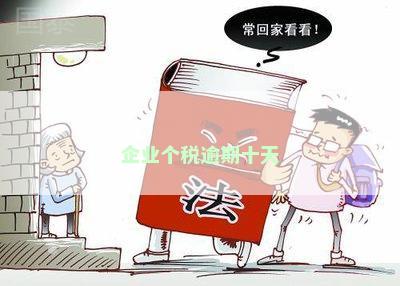 企业个税逾期十天