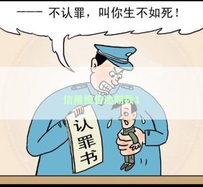 信用报告逾期数1