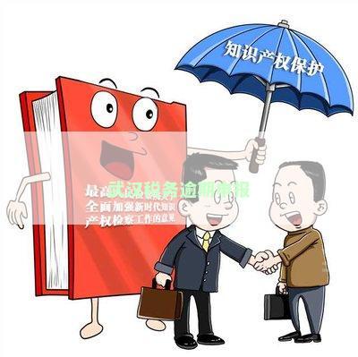 武汉税务逾期申报